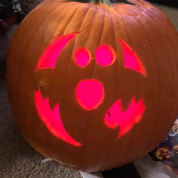 Meet your Posher, Jaycie - Picture 1 of 1